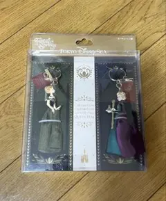 ディズニーシー　ファンタジースプリングス　アナ雪　キーチェーン