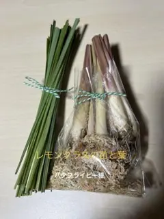 레몬그라스 묘목 및 잎나비 완두콩 종