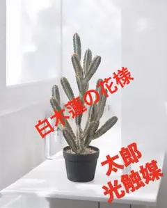 光触媒 人工観葉植物 ウォールグリーン フェイクグリーン ゴムの木9150 