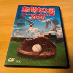 熱闘甲子園 2009 2枚組DVD - メルカリ