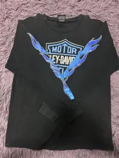 希少)Harley-Davidson ブルーフレイム　ロンT