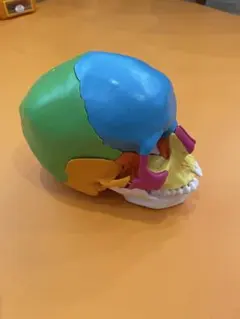 Item thumbnail for item e1edce7d-0b3f-400b-9287-31026004ad6f