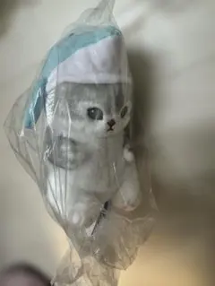 新品未開封　匿名配送　海の生き物にゃんぬいぐるみ　いるか　モフサンド