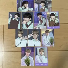BTS ジミン V ミニフォト SOWOOZOO まとめ売り 11枚セット