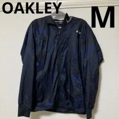 Item thumbnail for item ba9326a1-a949-4e0d-a4e1-01236b38f840