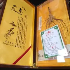 2025年最新】中国山参人参の人気アイテム - メルカリ