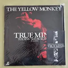 2026年最新】THE YELLOW MONKEY TRUE MINDの人気アイテム - メルカリ