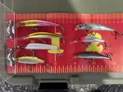 2026年最新】ヒラメルアーの人気アイテム - メルカリ
