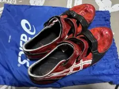 2026年最新】サイバーレイの人気アイテム - メルカリ