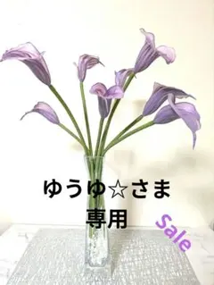 ゆうゆ☆様 リクエスト 2点 まとめ商品