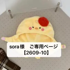 sora様用