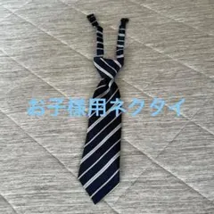 Item thumbnail for item 5f29d8f9-8829-44e3-86b5-6d6eb94afa9e