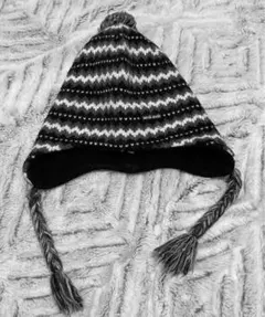 WASK⭐️裏地フリース 耳付きニット帽/L