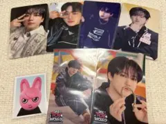 スキズ チャンビン SKZ TOY WORLD トレカ ID タワレコ HMV