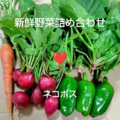 【兵庫県産】本日までラスト１箱★売りつくし★野菜詰め合わせ　野菜セット