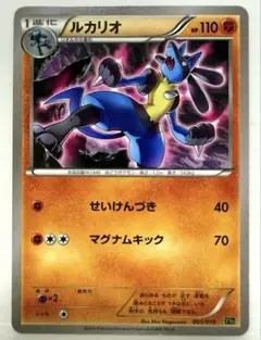 ルカリオ XYG パーフェクトバトルデッキ60 ジガルデEX 005/019