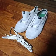 Item thumbnail for item ab05c3fc-91f4-4bb3-a207-104789210afd