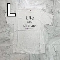 フルーツオブザルーム　Tシャツ　グレー　メンズ　L　フロントプリント