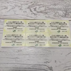 GALA湯沢スキー場 株主さまリフト優待割引券 6枚のサムネイル