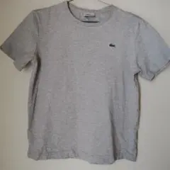 LACOSTE ラコステ Tシャツ グレー サイズ2　Sサイズのサムネイル