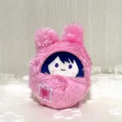 2026年最新】推しの子 ぬいぐるみ アイの人気アイテム - メルカリ
