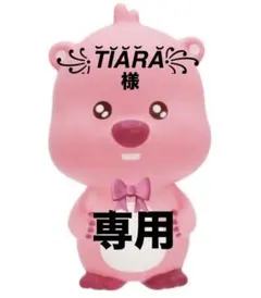 ꧁T̆̈Ĭ̈Ă̈R̆̈Ă̈꧂様 専用ページです★