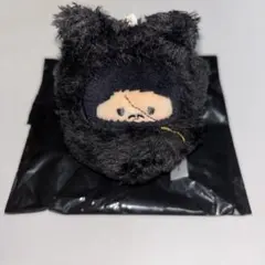 日本三國 くるみたぴぬい 菅生強