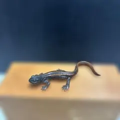 海洋堂 チョコQ 日本の動物第10 アマミシリケンイモリのサムネイル
