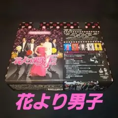 映画 花より男子ファイナル 初回生産限定プレミアムエディション DVD