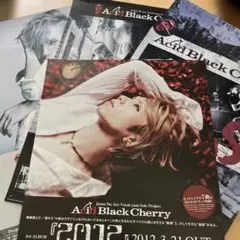 Acid Black Cherry yasu握手会 ポストカードと非売品カード - メルカリ