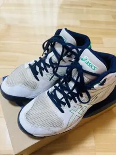 asics バスケットボールシューズ Dunk Shot MB9