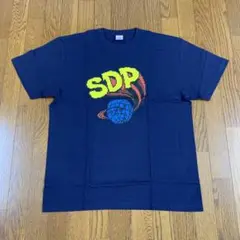 BAPE キーチェーン　ape マジックプレート　プラ板　スチャダラパー BAPE キーチェーン ape マジックプレート プラ板 スチャダラ 小物