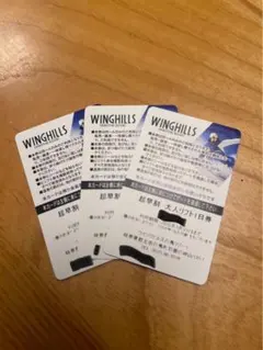 ウイングヒルズ白鳥リゾート　全日ゴンドラリフト1日券引換券　2枚 ☆ウイングヒルズ白鳥リゾートゴンドラ・リフト全日1日引換券☆2