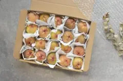 たぬきち様専用ページ＊農家直送！【蓬莱柿】日本いちじくー不揃いー⑦