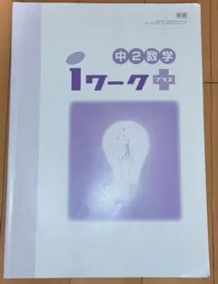 し*ご様 ☆解答付き☆　中2数学　iワークプラス　問題集　解答　解説　受験　塾