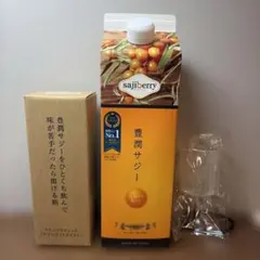 豊潤サジー 1000ml らくさん菌とにゅうさん菌セット - メルカリ