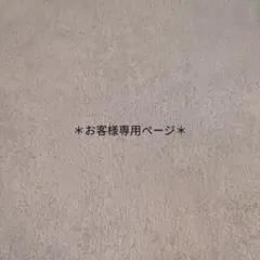 ◯お客様専用ページ◯