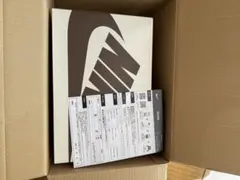 Travis Scott × Nike Air Jordan 1 Low OG