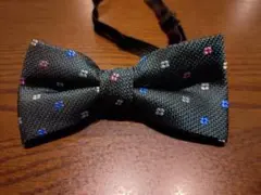 Item thumbnail for item ccfe40dd-5f94-4a45-8388-141949403d17