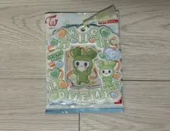 【即日発送】 TWICE カードホルダー　ジョンヨン・ジョンブリー