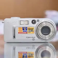動作良好品！】Panasonic LUMIX DMC-FX2！c25049 - メルカリ