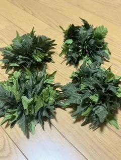 Item thumbnail for item 145e4e3c-da2e-42bc-a08b-d2c50f09cad9