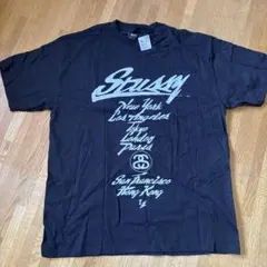 ステューシー 24AW BEACH SHELLCRACKED RIPSTOP - メルカリ