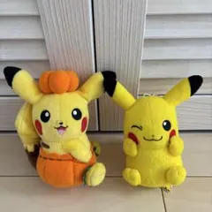 平成レトロ】ポケモン ピカチュウ フシギダネぬいぐるみ Nintendo 初代