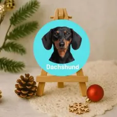 【証明写真風】ミニチュアダックス防水ステッカー