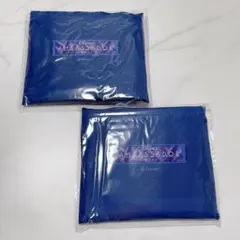 ディズニー　アンバサダーホテル　アメニティ　エコバッグ2個セット