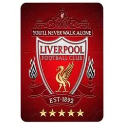 リヴァプール　2003-2004 直筆サイン入り ポスター　証明書付 リヴァプール 2003-2004 直筆サイン入り ポスター 証明書付