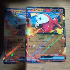 ホゲータex 009/103 RR 포켓몬 カード 2枚セット