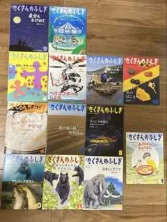 たくさんのふしぎ　2022年～2025年　13冊 セット売り