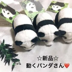 Item thumbnail for item 50ec7e9a-2a4b-48c9-a038-df31474fa5e0